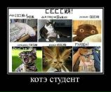 Фотография Ларионовой Ксении