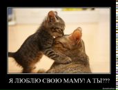 Віка Холодняк фотография #33 (источник - https://vk.com/id151454186)