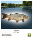 Славік Зайцев фотография #31 (источник - https://vk.com/id97164544)