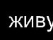 Ігор Петрик фотография #34 (источник - https://vk.com/id142154589)