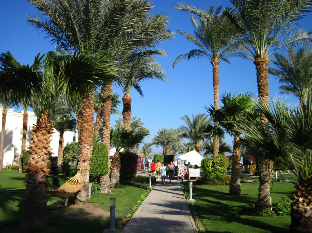 Евгений Кошелев фотография #27