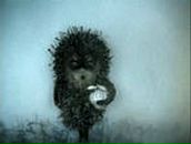 Фотография Алексеевой Екатерины