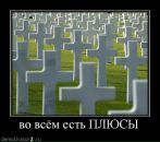 Фотография Алексеева Анна