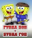 Владимир Ткачёв фотография #28 (источник - https://vk.com/id52932854)
