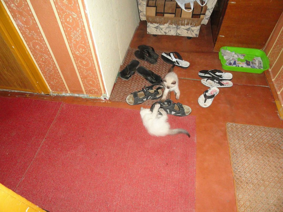 Стас Олейник фотография #38