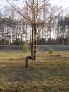 Мирослава Оліферчук фотография #1