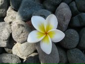 Фотография Шакирьяновой Александры