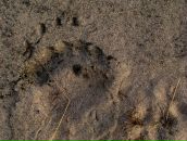 Эйно Роц фотография #12 (источник - https://vk.com/id119362)