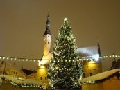 Фотография Федотовой Екатерины