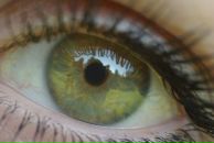 Фотография Гороховой Екатерины