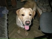 Фотография Романыча Романа