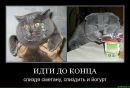 Міша Лобоцький фотография #22 (источник - https://vk.com/id21356970)
