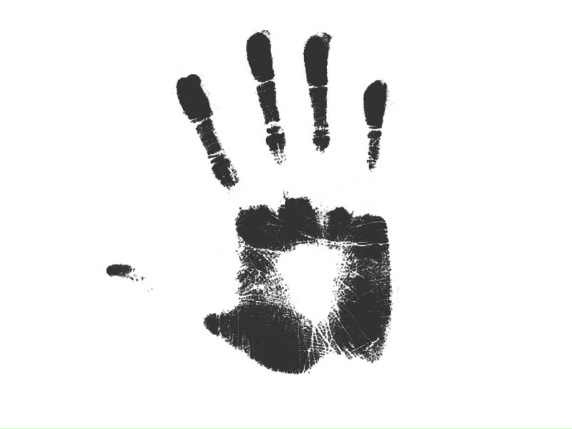 Handsfree Lab фото №7