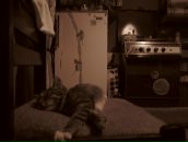 Фотография Чердак Сказочный