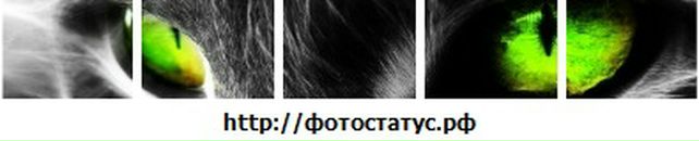 Андрій Чудик фотография #35 (источник - https://vk.com/id90454675)