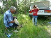 Татьяна Добрая фотография #44 (источник - https://vk.com/id71172041)