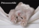 Фотография Богдановой Светланы