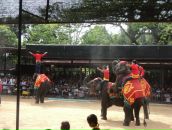 Francua *_*_* фотография #27 (источник - https://vk.com/id68343578)