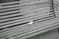 Алексей Куликов фотография #1