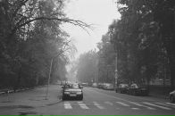 Алексей Куликов фотография #9 (источник - https://vk.com/id192201)