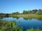 Олександр Кришталь фотография #13 (источник - https://vk.com/id22448110)