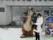 Фотография  