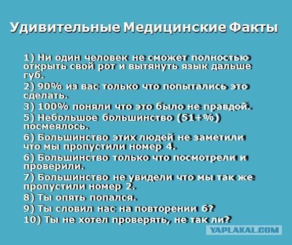 №17, Мария Радовская, 38 лет, Москва №17, Мария Радовская, 38 лет, Москва