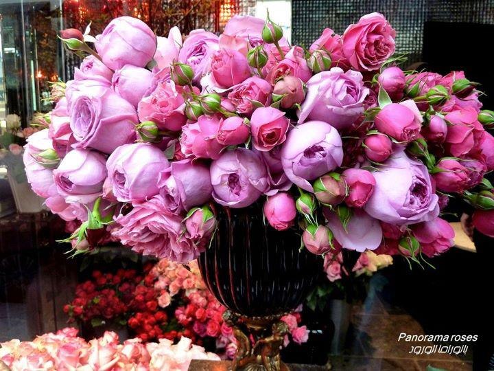 Коля Данько фотография #16