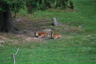 Юрій Нагорний фотография #49 (источник - https://vk.com/id19780900)