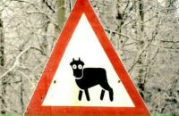 Фотография Амбрасовского Алексея