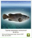 Андрій Орищак фотография #42 (источник - https://vk.com/id43615340)