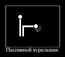 Фотография Вавиловой Алены