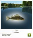 Вадім Кушиль фотография #3 (источник - https://vk.com/id63545127)