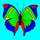 Іра Ірішка фотография #6 (источник - https://vk.com/id76841312)