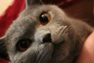 Фотография Даниловой Екатерины