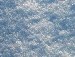 Маша Данилів фотография #16 (источник - https://vk.com/id136024563)