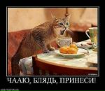 Даша_ Smile_in_rain фотография #14 (источник - https://vk.com/id69800007)