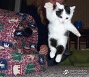 Міша Собкiв фотография #5 (источник - https://vk.com/id138774625)