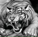 Фотография Петрова Евгения