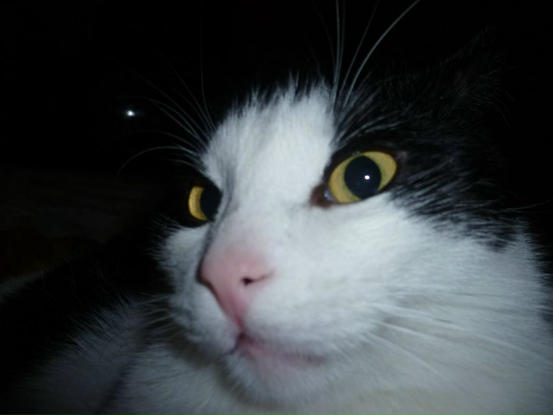 Сергей Басов фотография #14