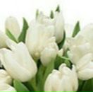 Інна Петльована фотография #10 (источник - https://vk.com/id106113397)