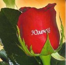 Юлюся Сем-Янів фотография #11 (источник - https://vk.com/id166936484)