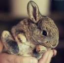 Євгенія Саморай фотография #24 (источник - https://vk.com/id114780130)