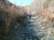 Татьяна Добрая фотография #5 (источник - https://vk.com/id71172041)