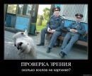 Богдан Константінексу фотография #48 (источник - https://vk.com/id147553516)