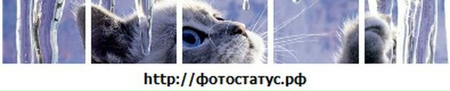 Іра Кулик фотография #47 (источник - https://vk.com/id19033940)