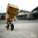 Фотография Дубоноса Александра