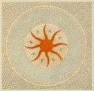 Фотография Грякалова Андрея