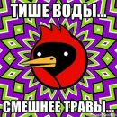 Катько Бирюкова фотография #6 (источник - https://vk.com/id26086263)