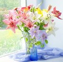 Ірина Ярмія-Луцюк фотография #7 (источник - https://vk.com/id169237565)